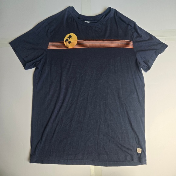 Marine Layer Mens Graphic T Shirt Palm Trees Striped Blue Size Large - Picture 1 of 7